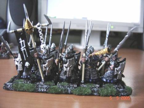 Warriors regiment by roman14