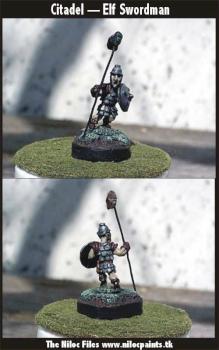 Elf Swordman by Niloc