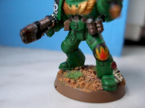 Salamander sergent by alphadelta