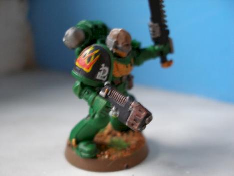 Salamander sergent by alphadelta