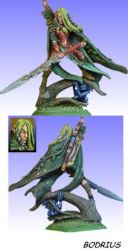 Wood Elf Lord by Bodrius