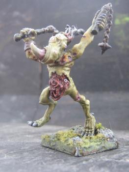 Plaguebearer Champion Of Nurgle by Arimata
