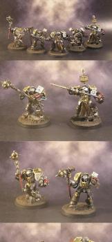 Grey Knights Space Marines Terminators Paladins by TheWarmastersRevenge