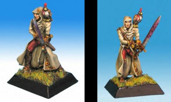 Falconer of Alahan by Royal Curator