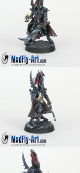 Dark Eldar Archon by MadFlyArtStudio