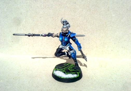 Dark Eldar Wych by Forrest33
