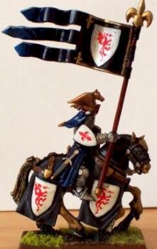 Chevalier du royaume, banniere by anthonybzh