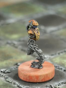 Pantin Nocturne FIB cell : ForceWorker by SL Larose