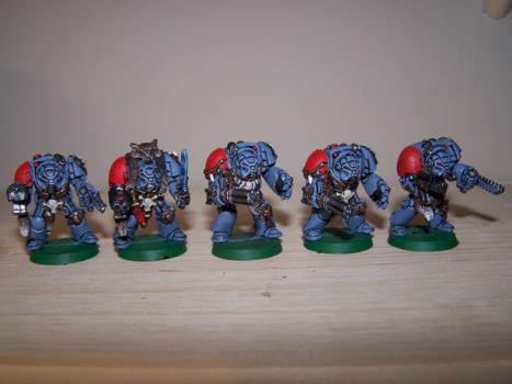 Space Wolf Terminators by Nate B