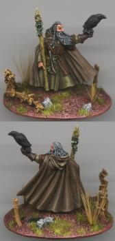 Radagast the Brown by Reaver
