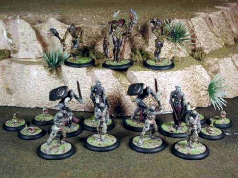 Dark Age Brood Army Family shot by fatbastard