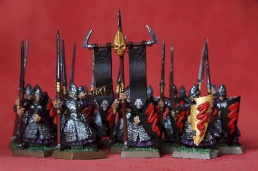 unit dark elf warriors by dragonlord