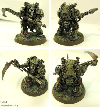 Typhus by loliel