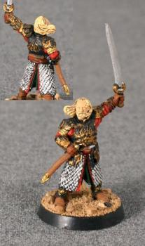 LOTR Theoden by stormwarning