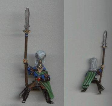 Wood Elf Glade Rider Champion by kozi ck