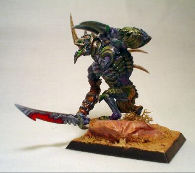 updated dasyatis pic by Brigebane