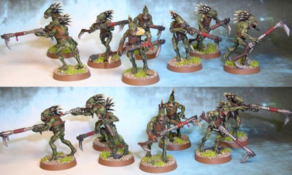 Kroot Carnivore Squad by Morkaj