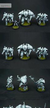 Battlegroup Retribution of Scyrah by Raphael.ch
