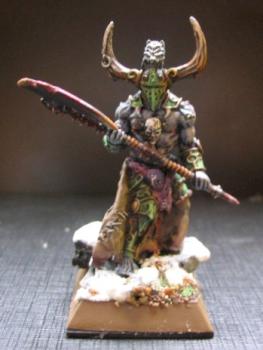 Wandyr le sanguinaire - drune by Darius Saiy