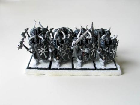 Snowy Warriors by Halbird