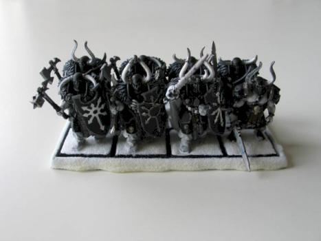 Warriors with Lord by Halbird