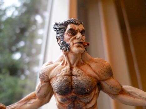 Close up of Wolverine by krazynadechukr