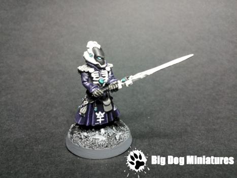 Eldar Warlock by thebigdog