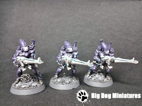 Eldar Guardians by thebigdog