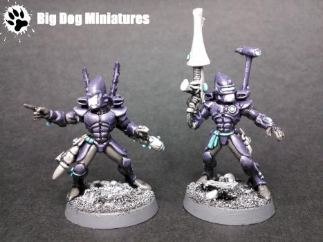 Eldar Guardian Weapon Team by thebigdog