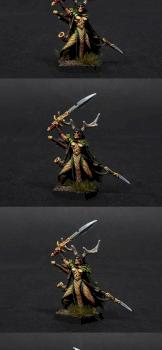 Wood Elf Lord with Sword and Spear by BloodyBeast.com