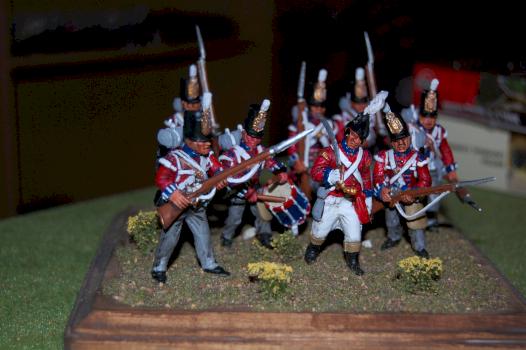 Royal Newfoundland Fencibles by Coldstreamer