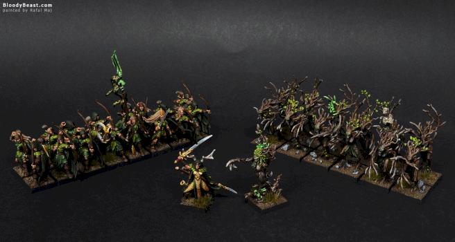 Wood Elves Warband by BloodyBeast.com