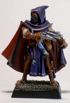 Dark Elve Assasien by masteroz