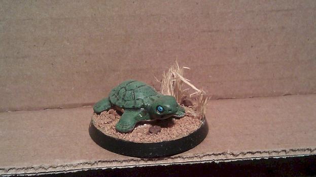 turtle by dabigman75