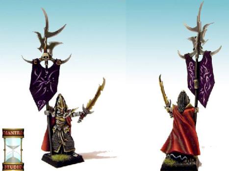 Dark Elves Battle Standard Bearer by MantraStudio