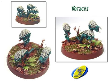 Vorace by FW Hiigara