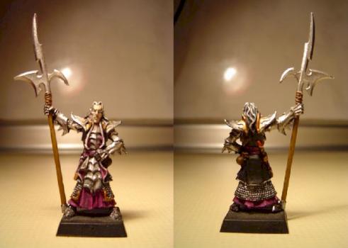 Dark Elf Black Guard by Mindhunter