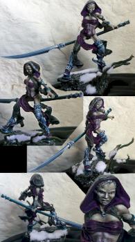 Dark elf Beastmaster by lukatme