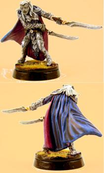 Dark Elf Captain by hairlord