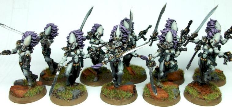 Howling Banshees by Vet Sgt Ezekiel