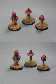 Mushrooms - Crooked Claw by Kara Jane