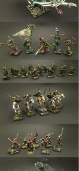 Wood Elf Army by Ironman2480