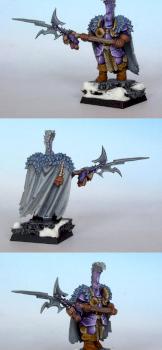 Slaanesh champion converted by Muzyk Pl