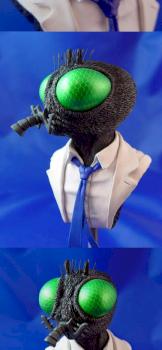 The Fly by dewberry1964