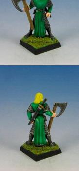 Elf Warrior by Space Monkey