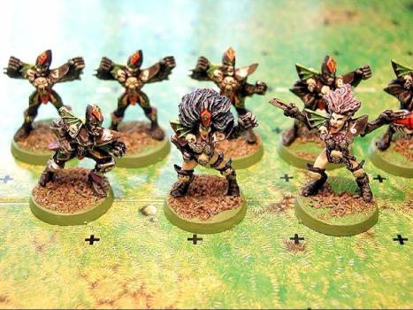 Deadly Nightshades - Dark Elf Blood Bowl Team by thesomberlain
