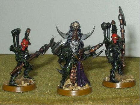 Dark Eldar Lord by battlestudios