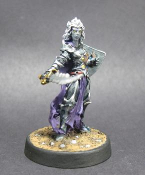 14631: Evshyvandra Duskwidow, Dark Elf by mikecarrero