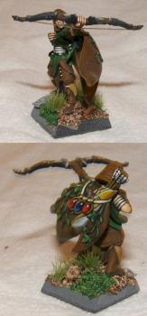 wood elf warriors champion by Sperber