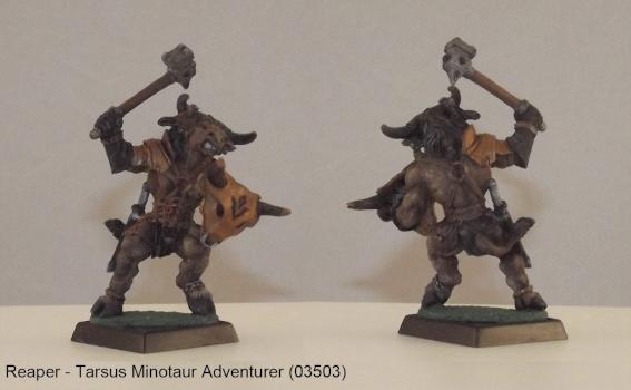 Tarsus Minotaur Adventerer by wyrmwren